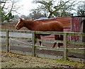 Stables near Row-of-Trees, Wilmslow. Cheshire