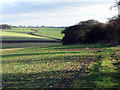 Across the valley at Lark Hall Corner