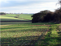 TL5854 : Across the valley at Lark Hall Corner by John Sutton