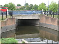 The River Ravensbourne near the A20 / A21 roundabout (2)