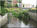 The River Ravensbourne in Cornmill Gardens (3)