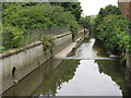 The River Ravensbourne near Engate Street, SE13 (3)