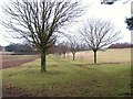 Bridleway to Heaton House