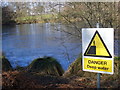 Danger at Royal Common