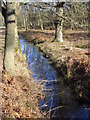 Drainage Ditch on Bagmoor Common