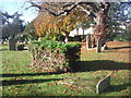 Old Mortlake Burial Ground