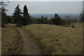 Bridleway on Shurdington Hill