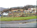 Fernlea allotments, Risca