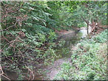 TQ3774 : The River Ravensbourne in Ladywell Fields (6) by Mike Quinn