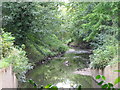 The River Ravensbourne in Ladywell Fields (14)