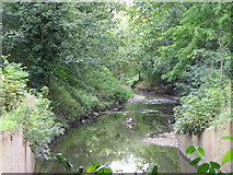 TQ3774 : The River Ravensbourne in Ladywell Fields (14) by Mike Quinn