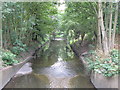 The River Ravensbourne in Ladywell Fields (17)