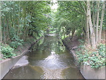 TQ3774 : The River Ravensbourne in Ladywell Fields (17) by Mike Quinn