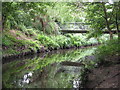 The River Ravensbourne in Ladywell Fields (19)