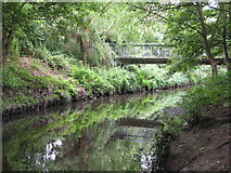 TQ3774 : The River Ravensbourne in Ladywell Fields (19) by Mike Quinn