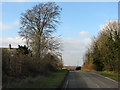 Looking towards Cambridge from Dotterell Hall