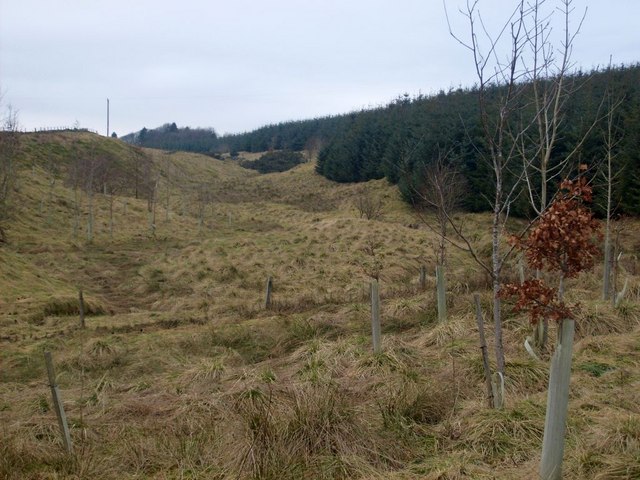 Kilsyth Hills, Craigdoufie Burn