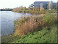 Bedfont Lakes Country Park