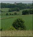 Farmland near Mount St Bernard Abbey