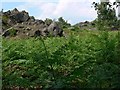 Rocky crags at Ratchet Hill