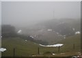 Tree Pits Quarry in the mist