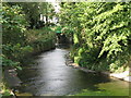 The River Ravensbourne east of Vineyard Close, SE6 (2)