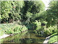 The River Ravensbourne east of Vineyard Close, SE6 (3)