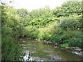 The River Ravensbourne east of Vineyard Close, SE6 (4)