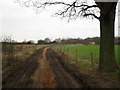 Track near Thimble Farm