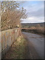 Old Railway bridge near Powerstock Common