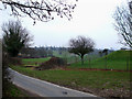 Farmland view