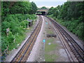 Railway lines south of Gunnersbury