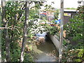 The River Ravensbourne north of Randlesdown Road, SE6