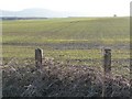 Straight lines on a greening field