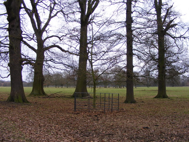 Attingham Park View