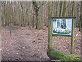 Information Board and walk in Reinden Wood