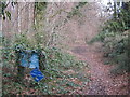 Bridleway near Reinden Wood