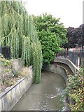 TQ3772 : The River Ravensbourne north of Orford Road, SE6 by Mike Quinn
