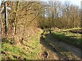 A bridleway, viewed from Hampers Lane