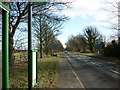 The Avenue, Burton upon Stather