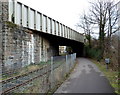 Bristol Harbour Railway beneath Cumberland Road