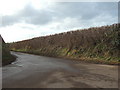 Country road to Sherwood Farm