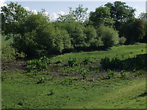 SU8886 : Cock Marsh Pond by Mick Crawley