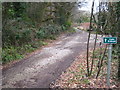 Public bridleway on the edge of Pendarves Wood