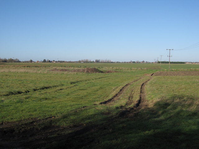 Grass area off Plash Drove