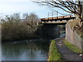 SO9591 : Coneygree Rail Bridge, Tipton by Richard Law