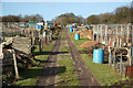 London Road allotments