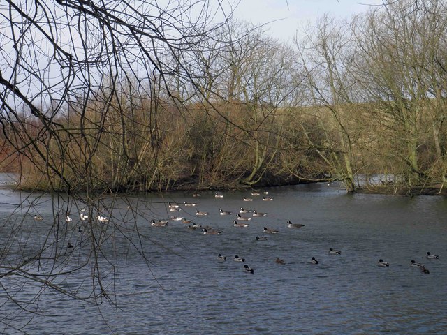 Netherwood Country Park © Steve Fareham :: Geograph Britain and Ireland