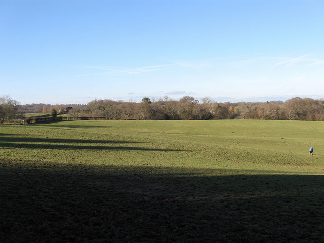 Four Acres/Marlpit Field © Simon Carey :: Geograph Britain and Ireland