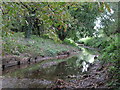 The River Ravensbourne west of Calmont Road, BR1 (10)